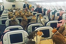 Un prince saoudien réserve des places d'avion pour ses 80 faucons